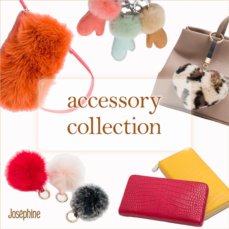 accessory collection