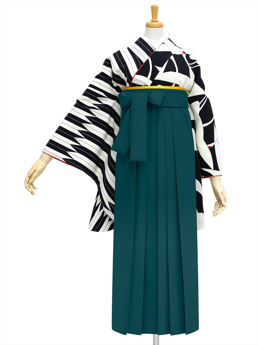 【レンタル商品】レンタル袴「【M0001】鶴× 矢羽根・黒」|グリーン