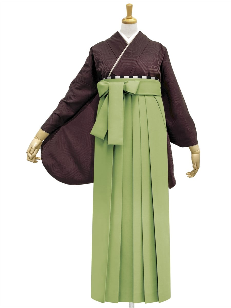 【レンタル商品】レンタル袴「【M0074】華亀甲・チョコレート」|ピスタチオ