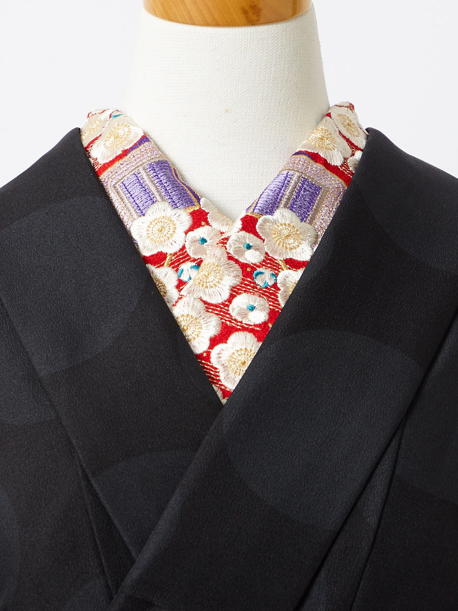 半衿「御所猫」|レッド