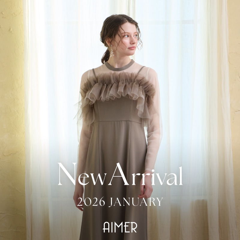 aimer_0113new